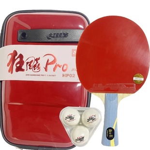 红双喜狂飚龙PRO礼盒装国手狂飙金弓套胶成品兵乓拍横拍乒乓球拍