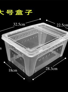 蜗牛盒子宠物饲养箱白玉蜗牛小中大号专用养殖盒爬虫爬宠窝防逃逸
