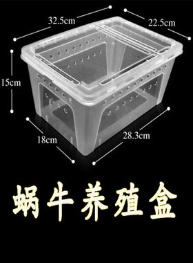 白玉蜗牛盒籽宠物小型动物房子窝透气大号带孔饲养箱养殖箱孵化盒