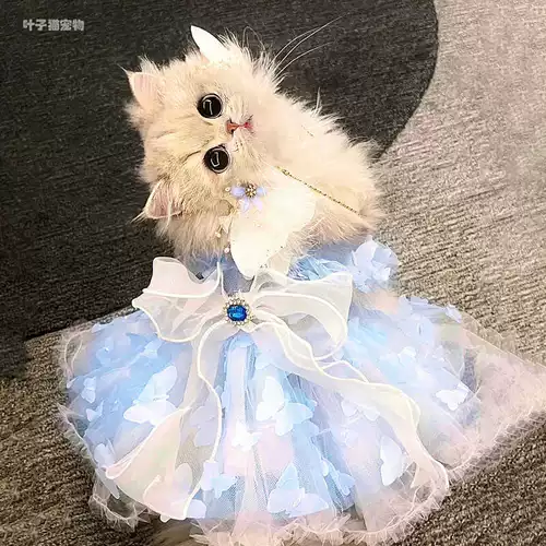 ПЭТ -кошка летняя юбка маленькая собака собака собака плюшевая плюс