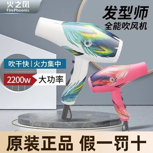 火之凤吹风机8960负离子护发大功理发店发型师专用大风速干静音率