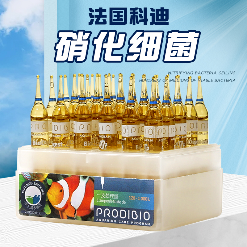 法国科迪硝化细菌保真