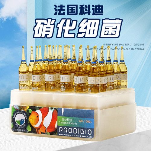 法国科迪硝化细菌保真