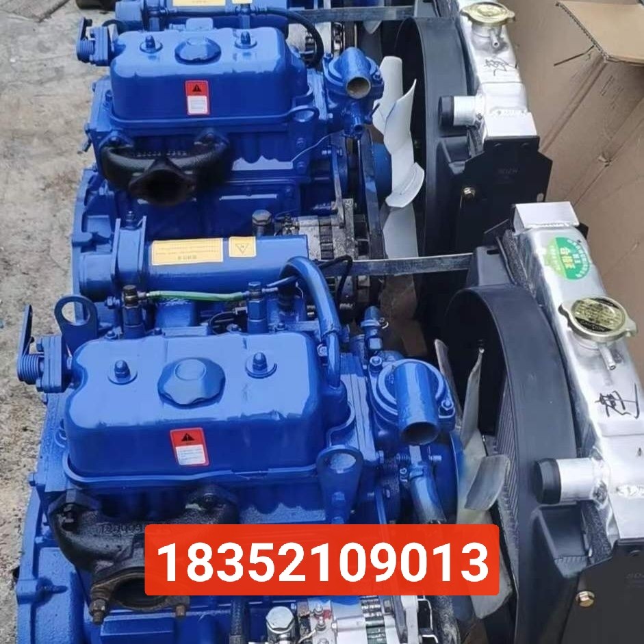 两缸玉柴 力佳  潍坊 江动2105 2110 2115双缸柴油发动机总成