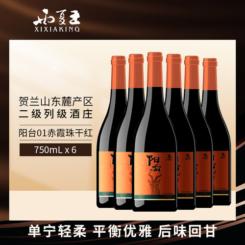 西夏王阳台01干红葡萄酒贺兰山