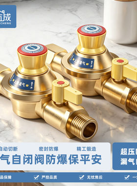天然气自闭阀燃气管道灶前超压家用自动切断阀门漏气防爆保护器