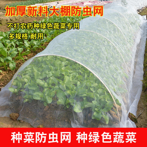 防虫网种菜专用80目阳台大棚蔬菜种植纱网40目防鸟菜园农用加厚网