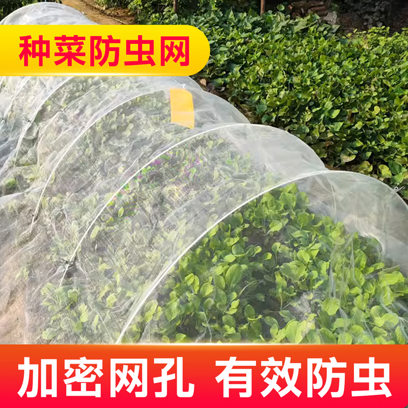 防虫网种菜专用80目阳台大棚蔬菜用的种植网罩菜园农用加厚100目