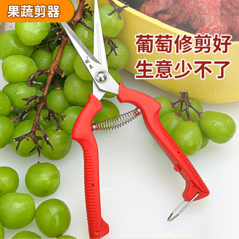 水果店葡萄剪摘果水果专用剪刀修花蔬果剪树枝稀疏果利关摘果小剪