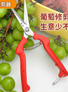 水果店葡萄剪摘果水果专用剪刀修花蔬果剪树枝稀疏果利关摘果小剪