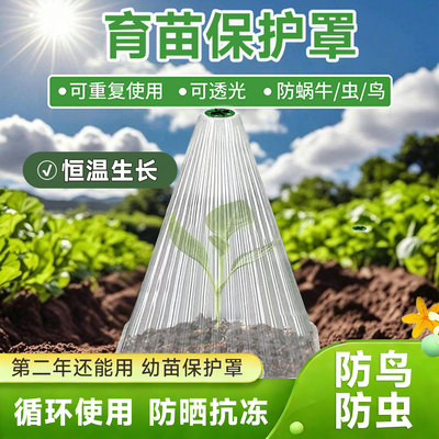 加大育苗保护罩蔬菜植物罩