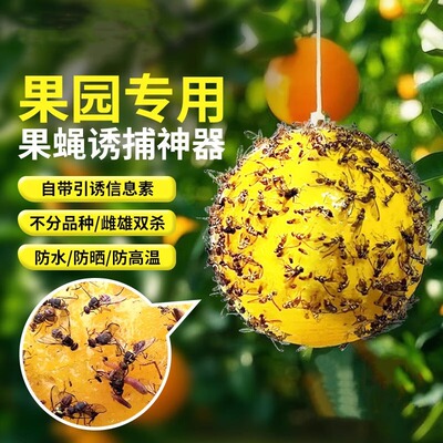 塑料粘虫球户外菜园果蝇诱捕家用厨房双面驱蚊球悬挂式诱虫板