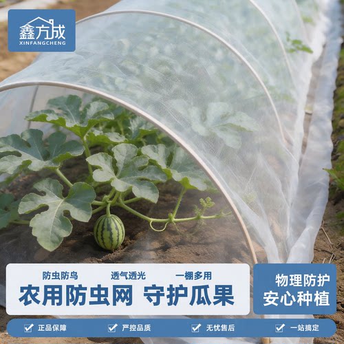 防虫网种菜专用网100目防虫
