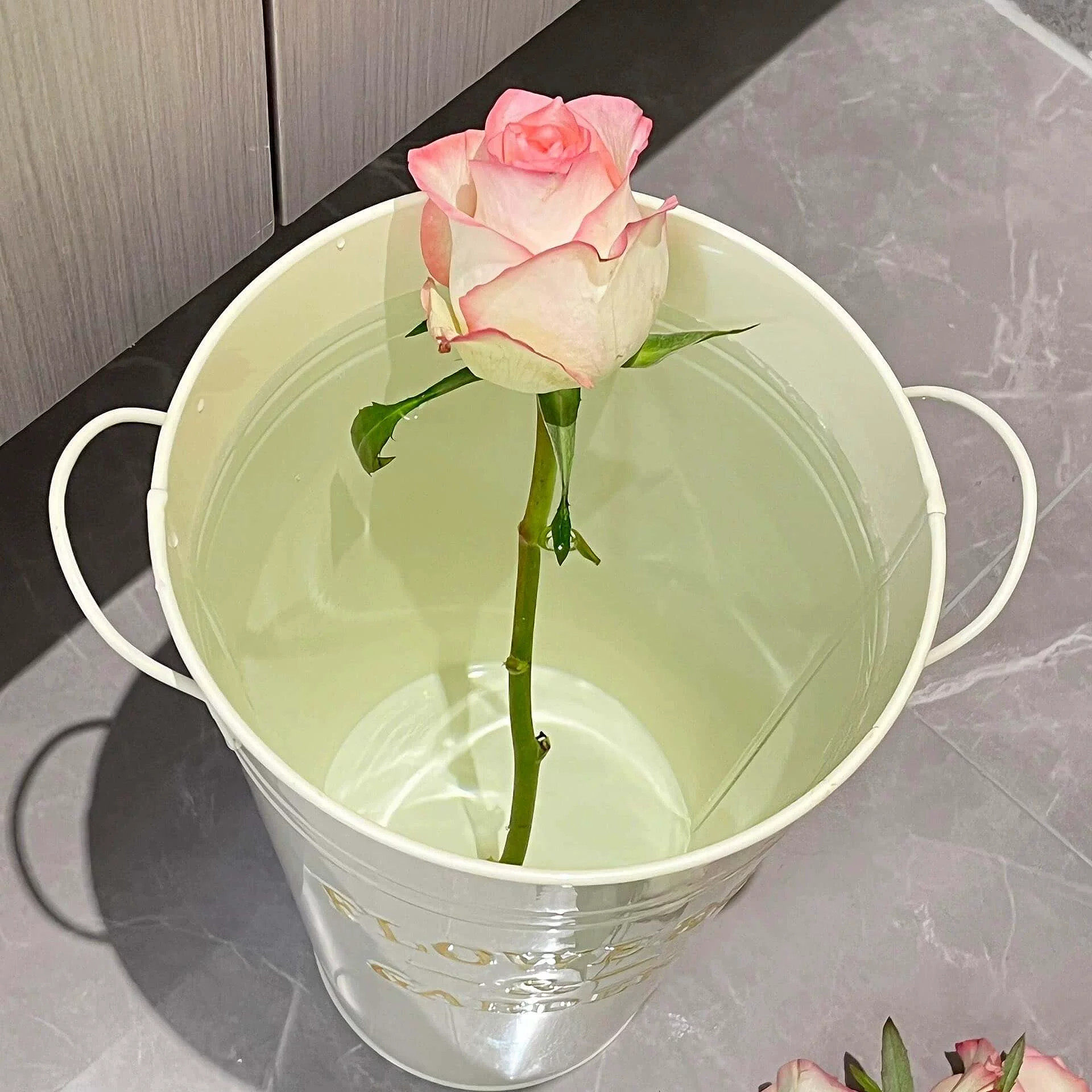 醒花桶铁质圆形花瓶手提式简约家居装饰插花器养花桶氛围感清新