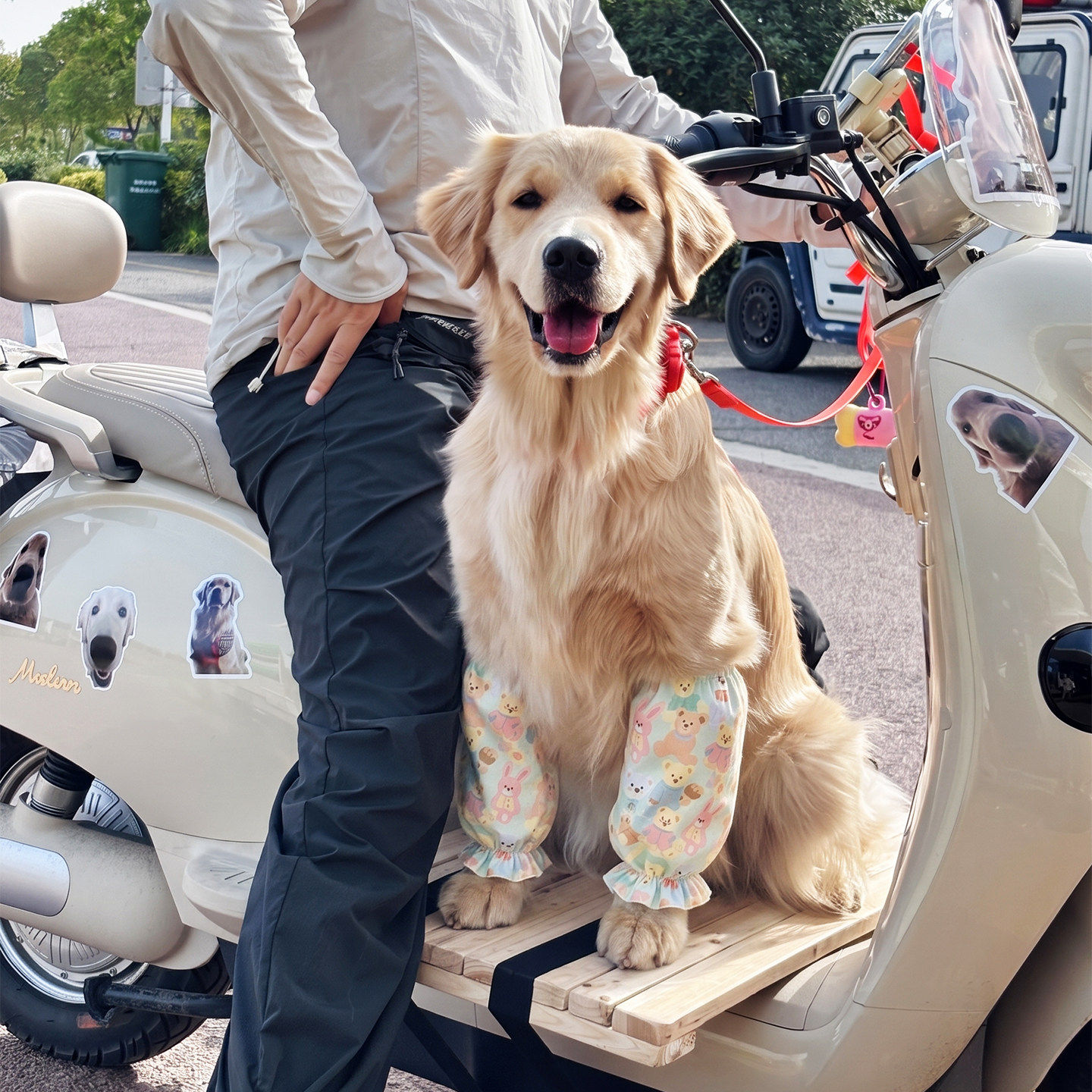 金毛护肘衣柯基柴犬宠物用关节保护套中大型犬护膝防舔防磨保护套