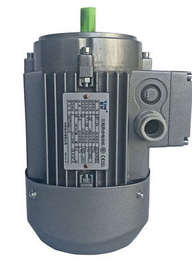 现货台州清华紫光MS8024-0.75KW三相异步电机380V1400r立式包邮