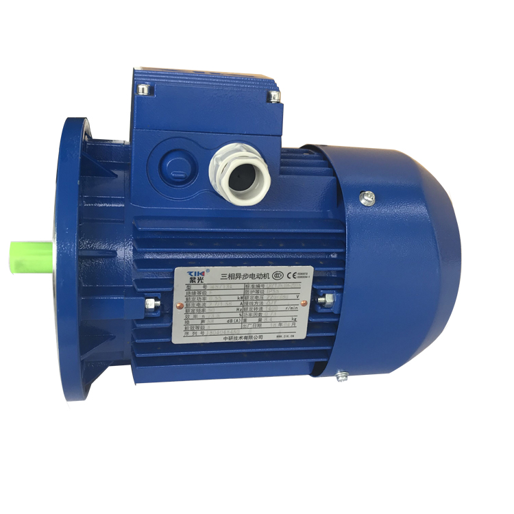 台州清华紫光三相减速电机MS8024 0.75W YS8034 1.1KW立式B5 B14