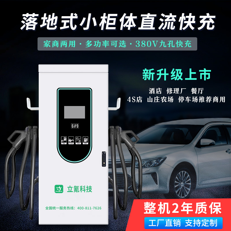 立氪新能源30千瓦柜体充电桩