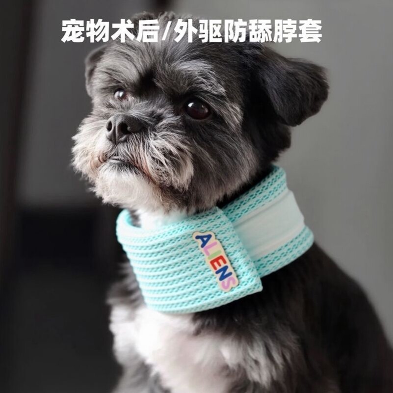 猫咪伊丽莎白宠物项圈宠物颈椎固定猫咪头套猫猫护颈防抓防脱脖子