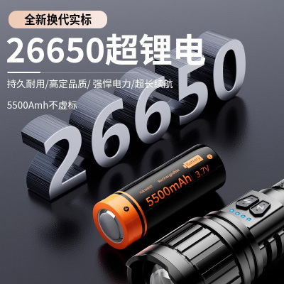 德国手电筒强光家用小型