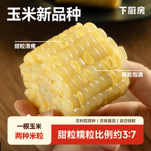 下厨房双生蜜糯玉米农科院新品种有甜粒有糯粒玉米新鲜糯玉米