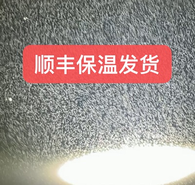 高密度海水轮虫超浓缩小球藻小丑鱼粮小鱼开口鱼食活体褶皱臂轮虫