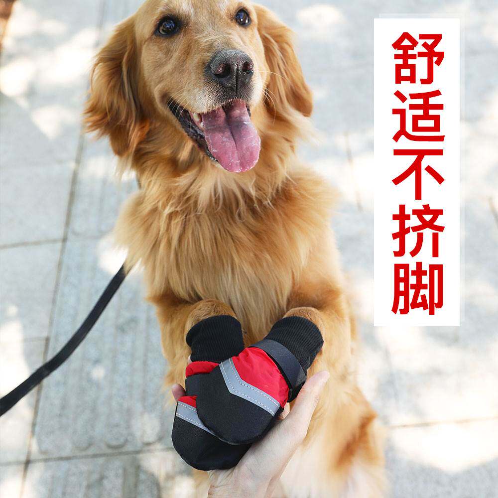 大狗狗鞋子防脏巨贵金毛萨摩耶柯基中型大型犬柴犬袜子夏宠物脚套