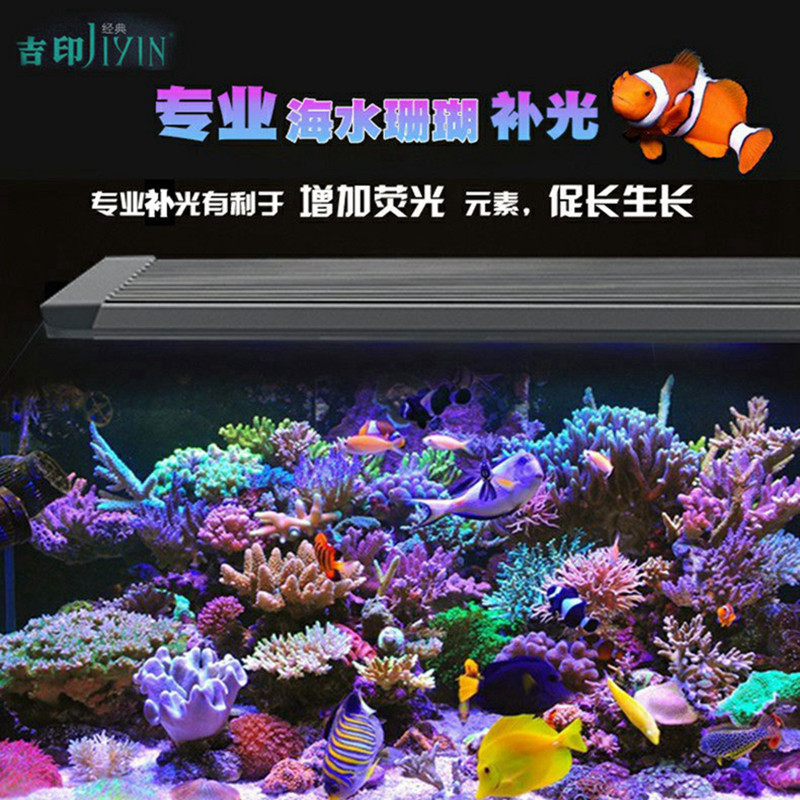 吉印海水鱼缸补光灯促进珊瑚发色图片