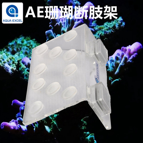 AE亚克力强磁力珊瑚断肢基座支架