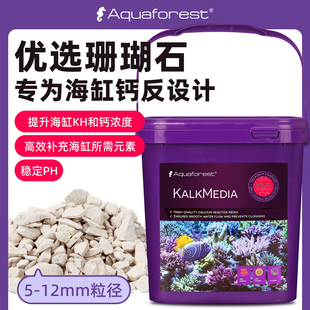 紫色森林全能珊瑚石海水缸珊瑚缸滤材钙反石元 素珊瑚石钙石KH提升