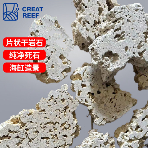 创礁人海缸造景石片状干岩石死石