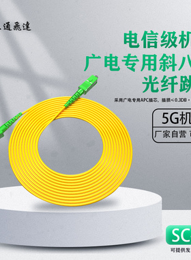 正通飞达广电专用斜八度光纤跳线单模单芯低损耗SC/APC-SC/APC光纤跳线机房布线圆口电信级3米5米10米可定制