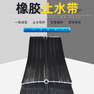 钢边式 中埋式 橡胶止水带651型背贴式 外贴式 橡胶止水带 可拆卸式
