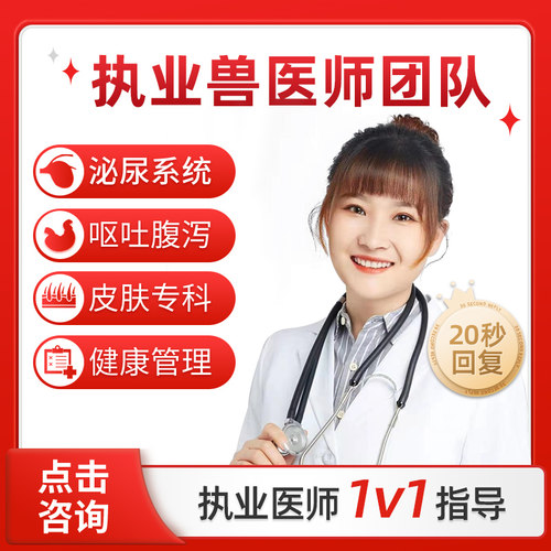 宠物医生在线问诊健康咨询