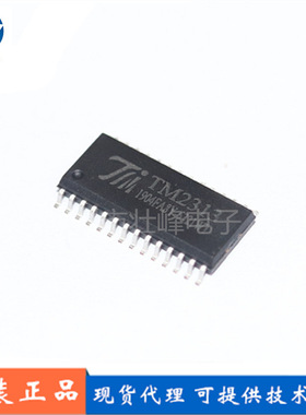 天微TM2313 贴片SOP28/SSOP 数字控制音频处理芯片IC
