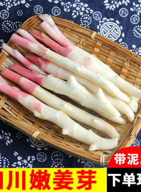 四川嫩姜新鲜仔姜生姜四川嫩姜仔姜芽新鲜嫩仔姜醋泡姜现挖犍为姜