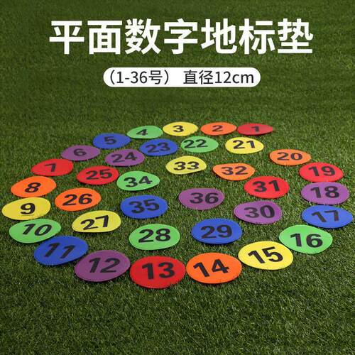 12cm diameter flat digital logo plate football basketball tr