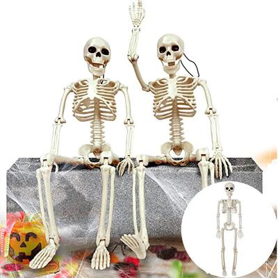 40cm Halloween Human Shape Skeleton,Posable Skeleton,Human S
