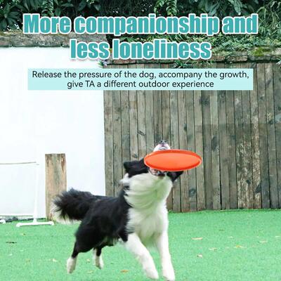 Pet Dog Flying Disk Toy Silicone Material Environmentally Fr