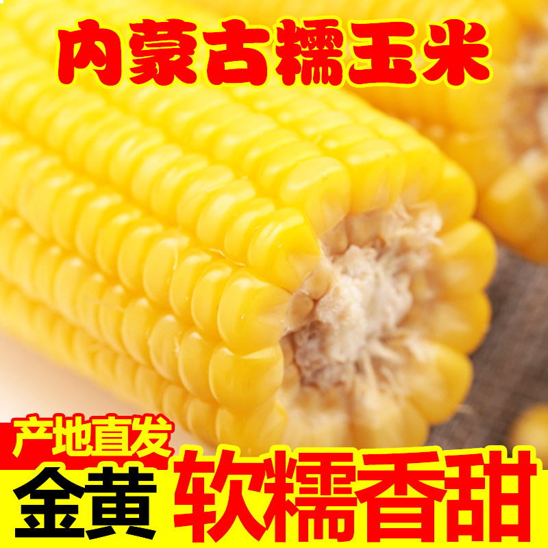 内蒙古五原水果金黄糯玉米新鲜半成熟真空装糯粘玉米即食半生,水产肉类/新鲜蔬果/熟食,新鲜玉米,淘宝优惠券,粉丝福利购,淘宝优惠卷
