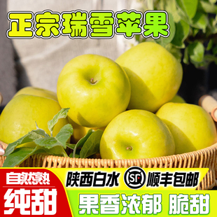 陕西白水青苹果水果新鲜当季整箱2025时令应季瑞雪苹果产地直发