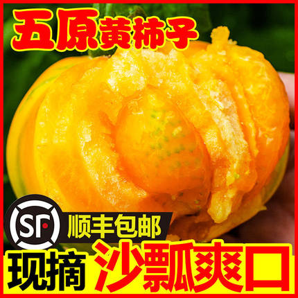 【顺丰包邮】内蒙古五原黄色西红柿新鲜水果沙瓢黄柿子自然熟番茄