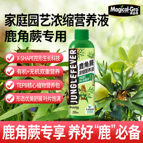 美益棵鹿角蕨专用营养液