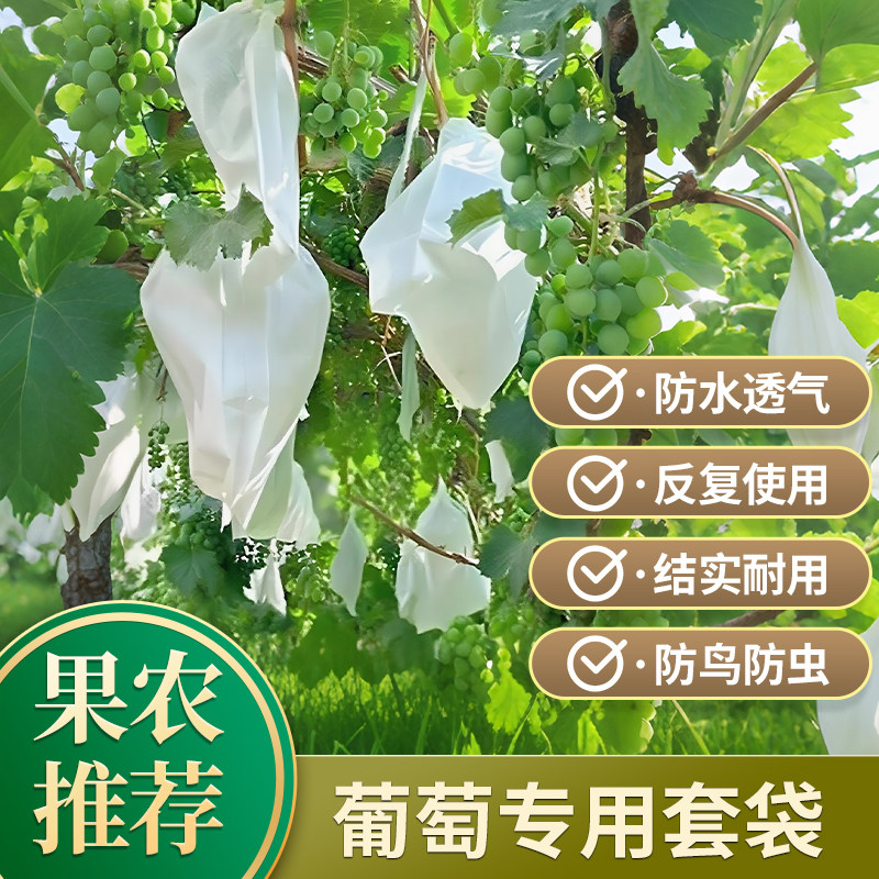 包葡萄套袋专用袋防虫防鸟水果防水雨病害套葡萄用的袋子保护纸袋