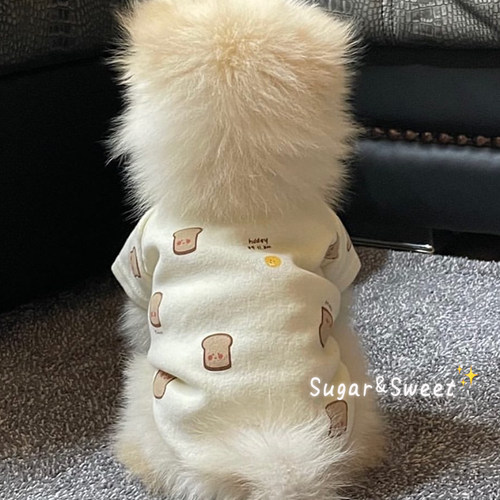 狗狗衣服冬季泰迪毛衣比熊柯基新春款保暖小型犬博美宠物冬天猫咪 - 封面
