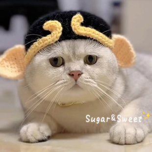 搞怪猫咪猪八戒头套可爱宠物毛线编织帽子变装 帽狗狗头饰西游记
