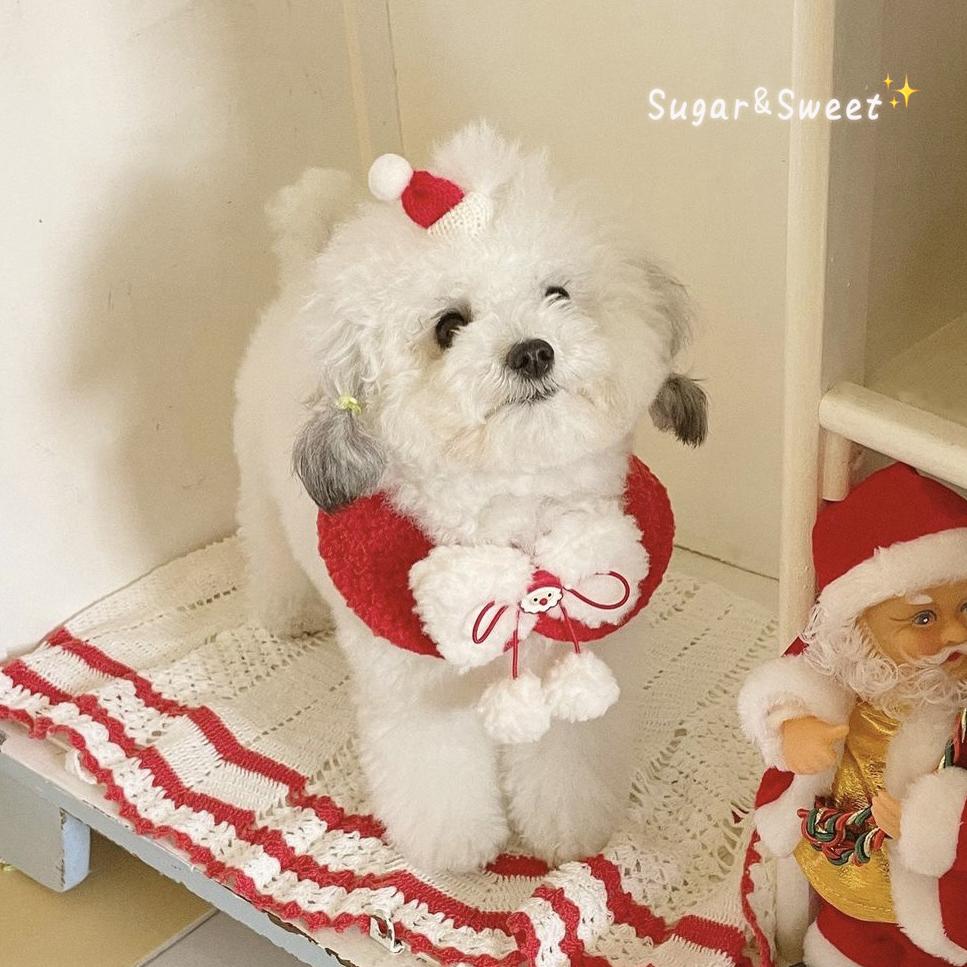 ins圣诞新款可爱蝴蝶结斗篷披风pet猫狗宠物围脖口水巾装饰围巾