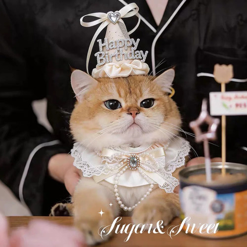 猫咪狗狗生日装扮口水巾钻石公主围兜宠物围脖装饰布偶英短比熊