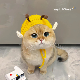 可爱小蜜蜂头套宠物猫咪帽子狗狗头饰手工编织装饰品英短猫金渐层