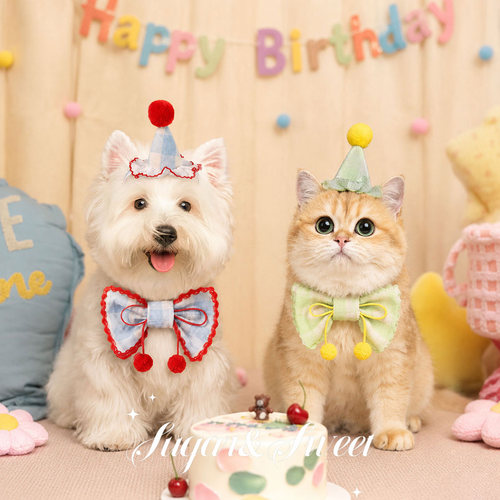 狗狗猫咪生日装扮可爱樱桃套装围兜帽子围脖宠物配饰比熊西高地